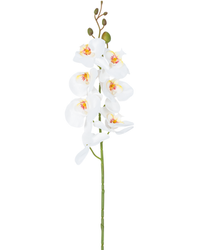 Il fiore artificiale di orchidea bianca da 84 cm ha un unico stelo di fiori di orchidea bianchi con cuori gialli e rosa e boccioli di fiori verdi nella parte superiore, su uno sfondo bianco semplice.