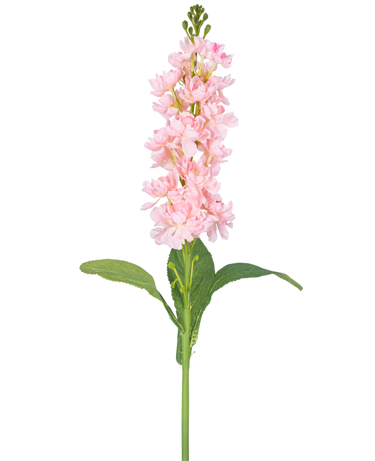 Il fiore artificiale Violier 78 cm rosa è un fiore artificiale singolo rosa chiaro con numerosi piccoli fiori lungo lo stelo verticale e foglie verdi, su uno sfondo bianco.
