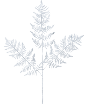 Il ramo di felce artificiale da 78 cm color argento ha una delicata fronda di felce grigio chiaro con tre rami principali di foglie finemente dettagliate su uno sfondo bianco semplice.