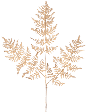 Il ramo di felce artificiale dorato da 78 cm presenta un delicato ramo di felce essiccato con sottili e intricate foglie marrone chiaro in un motivo traforato dettagliato, elegantemente esposto su un semplice sfondo bianco.