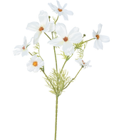 Il fiore artificiale Cosmos bianco da 74 cm ha diversi delicati fiori bianchi con un cuore giallo e arancione e foglie verdi piumate - ideali come fiori di seta per un'eleganza duratura.