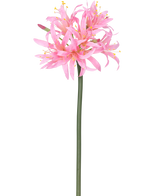 Il fiore artificiale Nerine rosa da 70 cm ha un alto stelo verde con un grappolo di delicati fiori rosa ragno con lunghi petali e stami gialli, su uno sfondo bianco semplice.