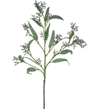 Il ramo artificiale della bacca di eucalipto grigio da 78 cm ha un unico ramo verde con foglie lunghe e strette e mazzi di piccoli boccioli grigiastri, raffigurati su uno sfondo bianco.