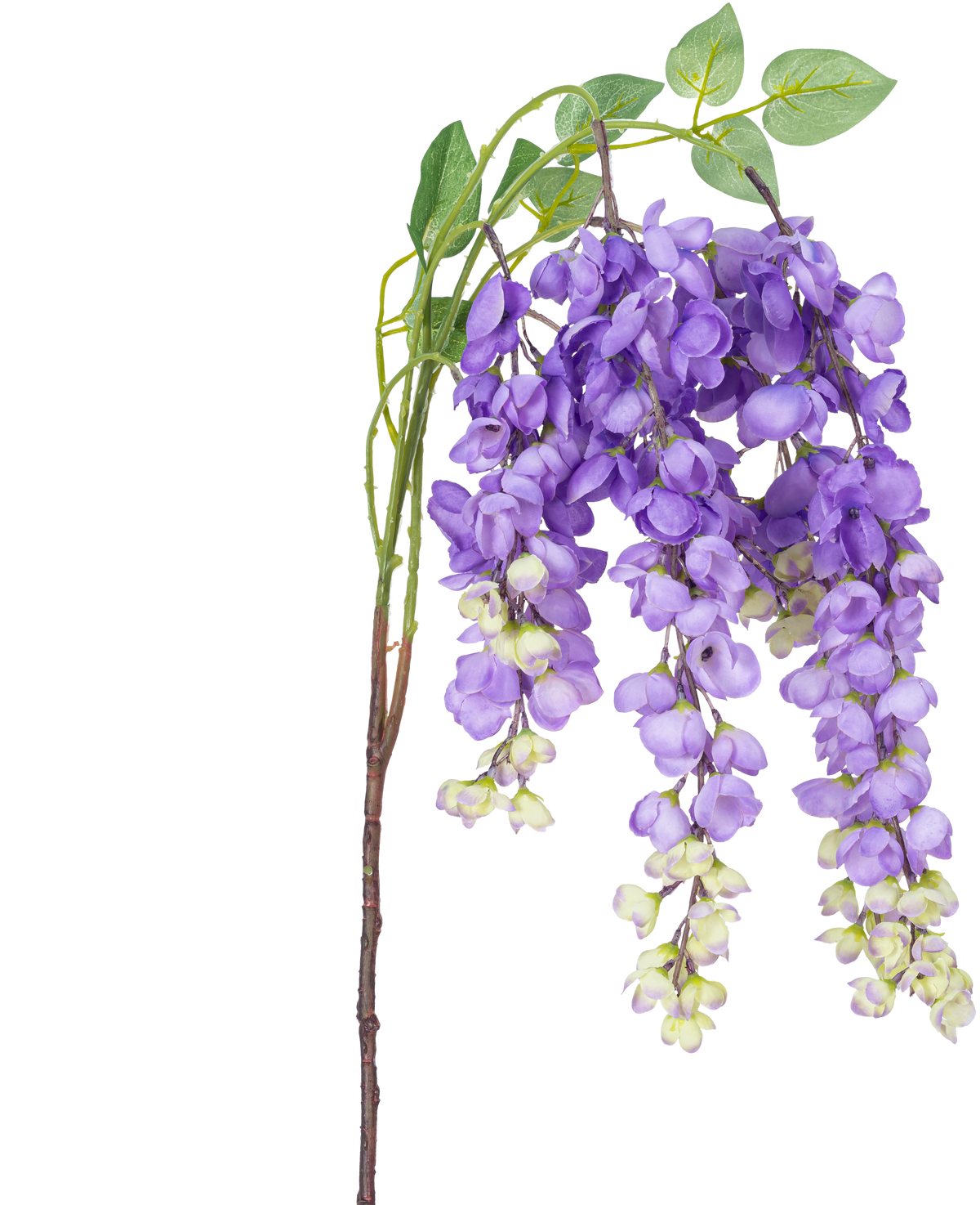 Fiore artificiale glicine 115 cm viola con fiori di glicine viola e foglie verdi su sfondo bianco.