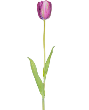 Un fiore artificiale tulipano francese viola 60 cm, un singolo tulipano viola con foglie verdi e un lungo gambo, isolato su sfondo bianco.
