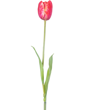 Un singolo fiore artificiale tulipano francese di 60 cm rosso con petali rossi vivaci e foglie verdi su uno stelo, su uno sfondo bianco.