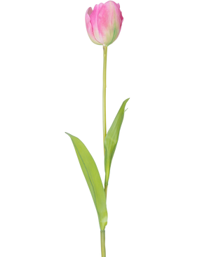 Un singolo fiore artificiale Tulipano francese 63 cm rosa con un lungo stelo verde e due foglie verdi, isolato su sfondo bianco.