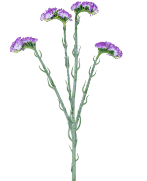 Il Ramo Artificiale Statice 64 cm viola ha un unico stelo verde con cinque rami, ciascuno ricoperto da grappoli di piccoli fiori viola con volant, su sfondo bianco.