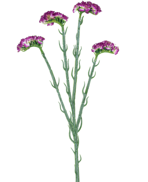 Il ramo artificiale Statice 64 cm viola scuro ha tre sottili steli verdi con rami multipli, ciascuno ricoperto da una serie di piccoli fiori viola scuro con volant, il tutto su uno sfondo bianco.
