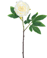 Fiore artificiale Peonia 61 cm bianco: un'unica peonia bianca con petali stratificati, foglie verdi e un lungo stelo marrone, isolata su sfondo bianco.