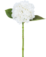 L'ortensia artificiale "Annabelle" Real Touch White 55 cm ha un singolo fiore di ortensia bianca con un grappolo rotondo di petali, due grandi foglie verdi e un lungo stelo verde, su uno sfondo bianco semplice.