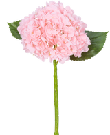 L'ortensia artificiale "Annabelle" Real Touch Pink 55 cm ha un singolo fiore di ortensia rosa con petali, due foglie verdi e un lungo stelo verde, su uno sfondo bianco.