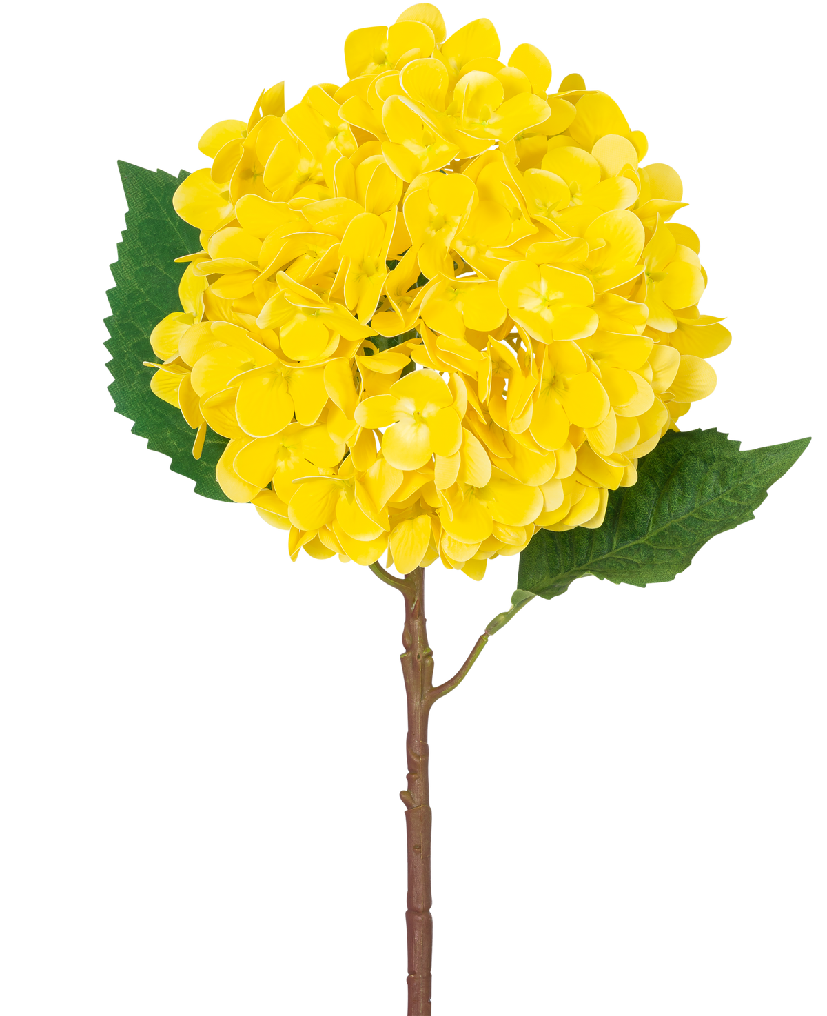 Il fiore artificiale Ortensia Real Touch giallo 58 cm ha una singola ortensia gialla con petali stratificati, due grandi foglie verdi e uno stelo marrone, su uno sfondo bianco semplice.