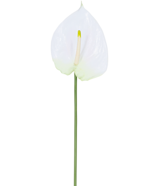 Il fiore artificiale Anthurium bianco da 68 cm ha un singolo anthurium artificiale bianco con uno spadice giallo chiaro su un lungo stelo verde. Ideale per qualsiasi spazio, offre un'eleganza duratura e non richiede acqua.