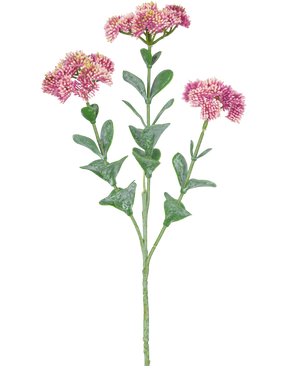 Il Ramo Artificiale Sedum 56 cm rosa chiaro ha un unico stelo verde con più rami, ciascuno decorato con mazzi di piccoli fiori rosa chiaro con petali arrotondati, su sfondo bianco.