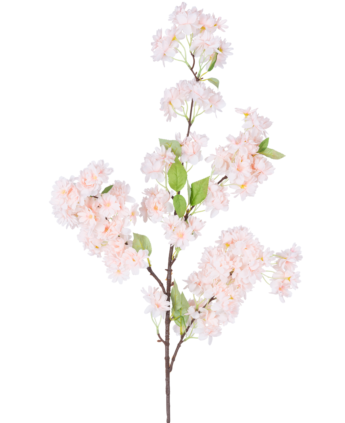 Un singolo fiore di ciliegio artificiale di 100 cm rosa chiaro ha mazzi di fiori di ciliegio rosa chiaro con foglie verdi su sfondo bianco.