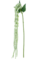 Il fiore artificiale Amaranthus verde 124 cm ha un unico stelo verde con mazzi lunghi e pendenti di piccoli fiori verde chiaro e due grandi foglie verdi, su uno sfondo bianco.