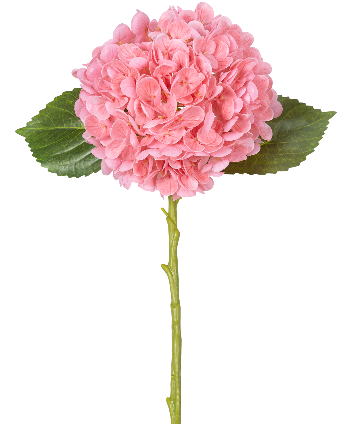 Il fiore artificiale Charlotte Hydrangea Real Touch Pink 49 cm ha un'unica ortensia rosa con densi mazzi rotondi di petali, due foglie verdi e un lungo stelo verde su sfondo bianco.