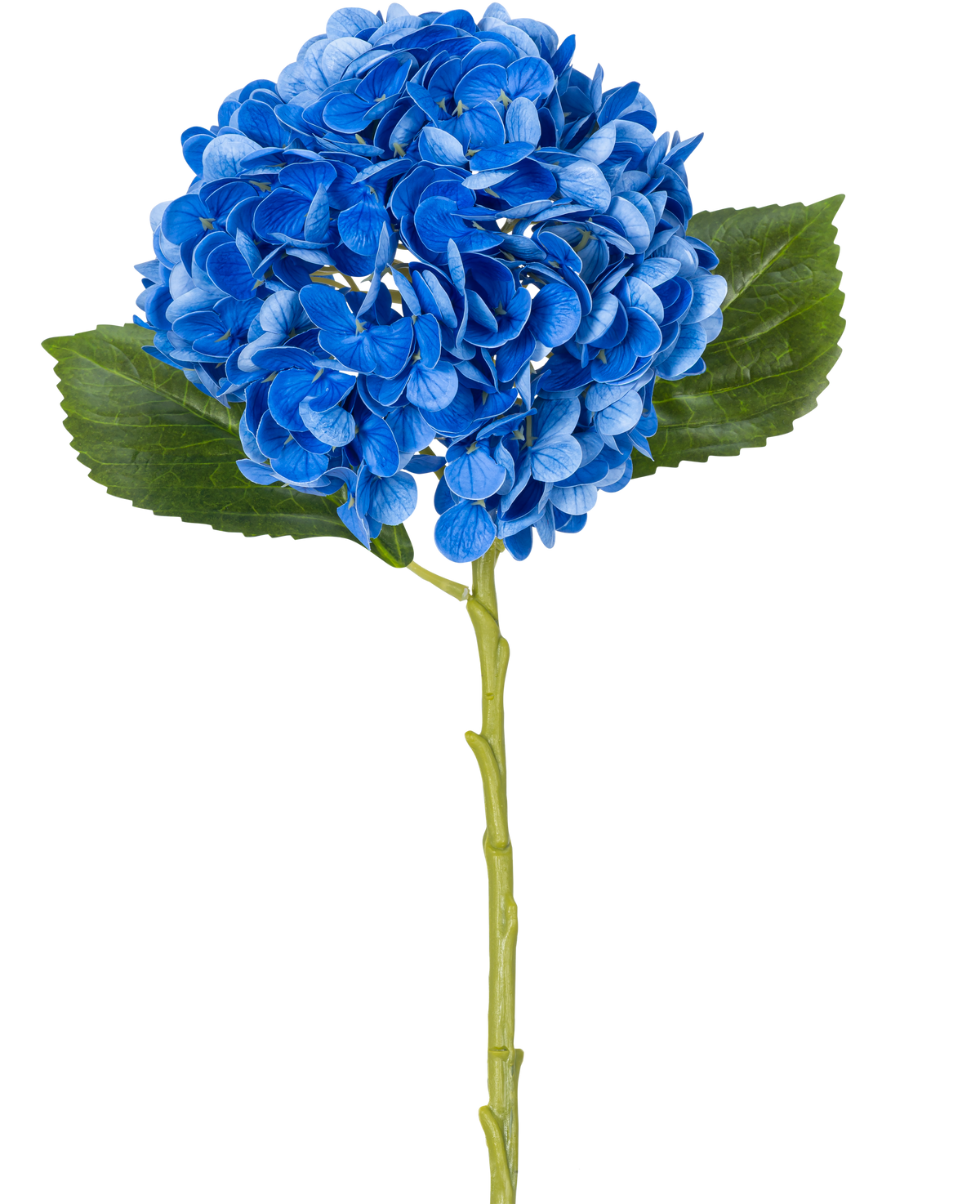 Il fiore artificiale Charlotte Hydrangea Real Touch Blue 49 cm è un'unica ortensia blu con foglie verdi e un lungo stelo, raffigurata su sfondo bianco.