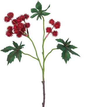 Il ramo artificiale Ricinus 43 cm rosso vino ha un ramo di una pianta di ricino con baccelli appuntiti rosso vino e grandi foglie verdi a forma di stella su uno sfondo bianco.
