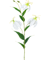 Il fiore artificiale Gloriosa Real Touch White 75 cm ha un unico stelo verde con tre fiori Gloriosa bianchi aperti, due boccioli, lunghi stami gialli e foglie verdi allungate su uno sfondo bianco semplice.