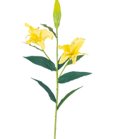 Il fiore artificiale Giglio Real Touch Giallo 95 cm ha un unico stelo con due fiori di giglio giallo aperti, un bocciolo chiuso nella parte superiore e lunghe foglie verdi, il tutto su uno sfondo bianco semplice.