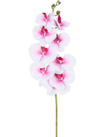 L'orchidea artificiale Real Touch Deluxe 105 cm rosa/bianco ha un unico stelo artificiale di phalaenopsis rosa con accenti bianchi, fiori e boccioli di seta realistici, il tutto elegantemente visualizzato su uno sfondo bianco.