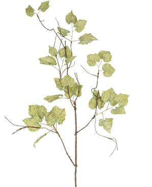 Il ramo d'uva secca artificiale da 120 cm è un sottile ramo artificiale marrone con diverse foglie verde chiaro e cartacee che ricordano una vite secca, su uno sfondo bianco semplice.