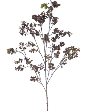 Il ramo artificiale della bacca di eucalipto marrone da 110 cm ha un ramo alto con diversi steli sottili, piccole foglie rotonde e grappoli di bacche verde-marroni su uno sfondo bianco semplice.