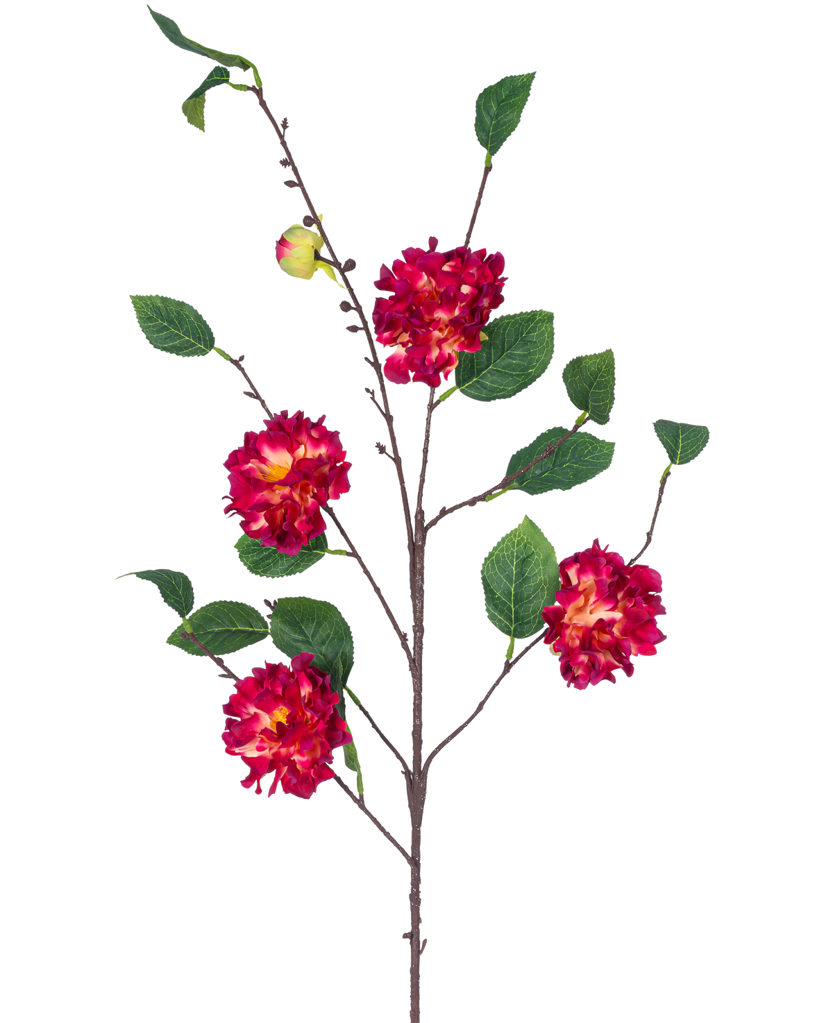 Il fiore artificiale Camelia giapponese 95 cm rosso vino ha un ramo marrone con foglie verdi, mazzi di vivaci fiori rosso vino e gialli e un piccolo bocciolo chiuso, il tutto su uno sfondo bianco.