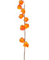 Un singolo stelo di fiore artificiale Physalis Lampion da 90 cm di colore arancione, con molteplici baccelli a forma di lanterna di colore arancione brillante, è mostrato su uno sfondo bianco semplice.