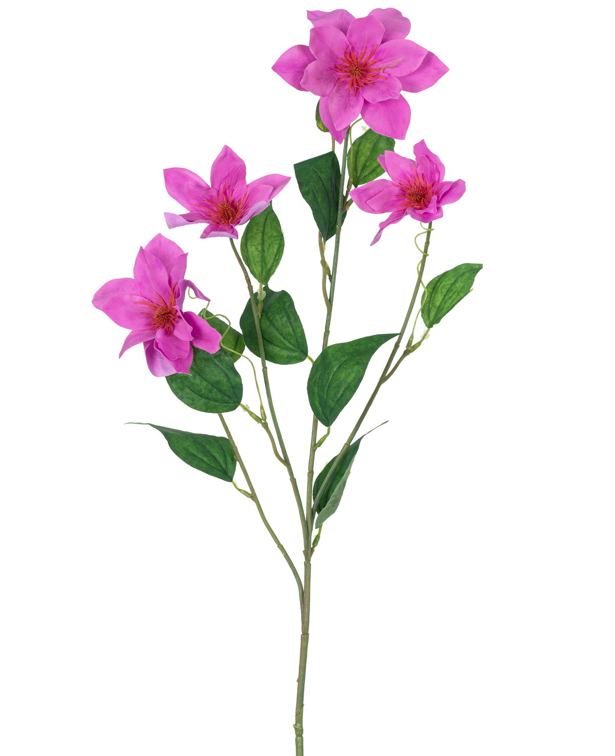 La clematide artificiale Real Touch Pink da 88 cm presenta un unico stelo verde con rami multipli, cinque fiori rosa vibranti e diverse foglie verdi ovali, il tutto splendidamente dettagliato e isolato su uno sfondo bianco.