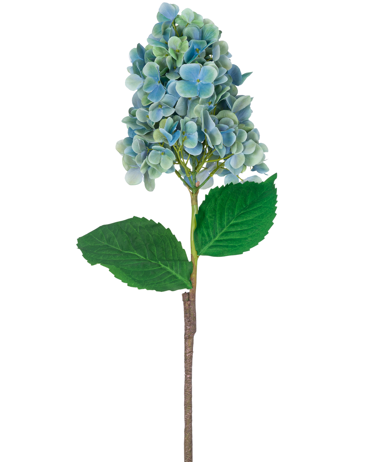 Un singolo stelo di ortensia artificiale di 93 cm blu con fiori di ortensia blu e verdi con foglie verdi lussureggianti, isolati su sfondo bianco.