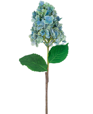 Un singolo stelo di ortensia artificiale di 93 cm blu con fiori di ortensia blu e verdi con foglie verdi lussureggianti, isolati su sfondo bianco.
