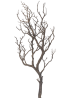 Il ramo Decorazione artistica da 89 cm presenta un albero senza foglie con molti rami sottili e sinuosi su uno sfondo bianco semplice.