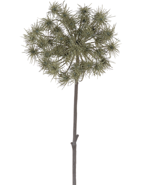 Il fiore artificiale Hogweed da 100 cm è un singolo stelo artificiale con grappoli di sottili capolini di colore verde-grigio, in piedi su uno sfondo bianco semplice.