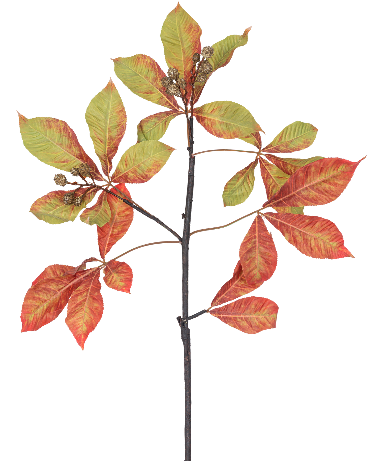 Un ramo di castagno artificiale di 91 cm Ramo rosso/verde con mazzi di foglie rosse e verdi, alcune con bordi marroni, insieme a piccoli baccelli marroni su sfondo bianco.