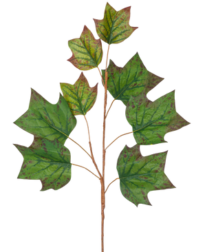 Un ramo di foglia di quercia artificiale di 84 cm di colore verde con diverse grandi foglie verdi a forma di quercia con macchie marrone-rosse su uno sfondo bianco semplice.