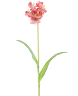 Un fiore artificiale tulipano parrocchetto francese da 76 cm in rosso/giallo con volant sui petali, un lungo stelo verde e due foglie verdi allungate, su uno sfondo bianco.