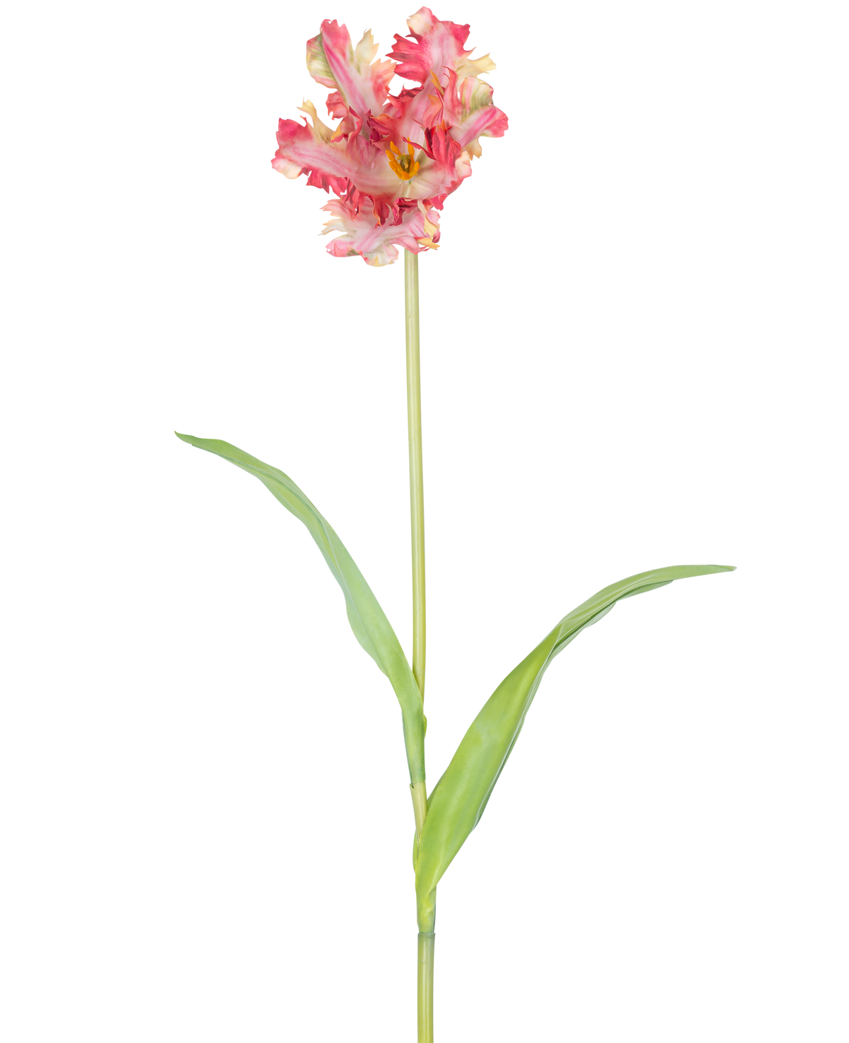 Un fiore artificiale tulipano parrocchetto francese da 76 cm in rosso/giallo con volant sui petali, un lungo stelo verde e due foglie verdi allungate, su uno sfondo bianco.