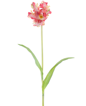 Un fiore artificiale tulipano parrocchetto francese da 76 cm in rosso/giallo con volant sui petali, un lungo stelo verde e due foglie verdi allungate, su uno sfondo bianco.