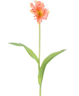 Un singolo fiore artificiale tulipano parrocchetto francese di 76 cm di corallo con volant di petali rosa e gialli e due lunghe foglie verdi su un lungo stelo, su uno sfondo bianco semplice.