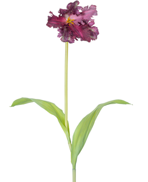 Il fiore artificiale Tulipano Parrocchetto Francese 76 cm viola è un singolo tulipano viola artificiale con volant nei petali e due foglie verdi allungate su un lungo stelo, su uno sfondo bianco semplice.