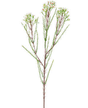 Il ramo artificiale Waxflower crema da 78 cm ha un unico stelo alto con sottili foglie verdi e mazzi di piccoli fiori bianco crema nella parte superiore, su uno sfondo semplice e chiaro.