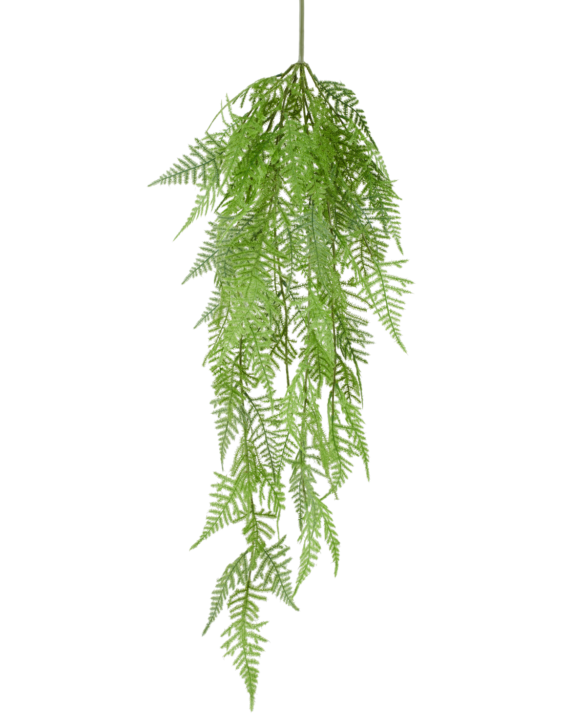 La pianta artificiale di asparagi pendenti da 84 cm ha foglie verdi delicate e piumate e motivi dettagliati, che pendono con grazia su uno sfondo bianco a tinta unita.