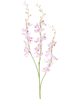 Due steli verdi con grappoli ramificati di delicati fiori di orchidea cymbidium viola chiaro e piccoli boccioli su rametti sottili e arcuati, raffigurati su un semplice sfondo bianco. Il prodotto raffigurato è il fiore artificiale Cymbidium 95 cm viola.