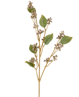 Un unico stelo del fiore artificiale Dewberry, alto 78 cm, con diverse foglie verdi e mazzi di piccole bacche rotonde beige su sottili steli marroni nei toni del grigio e del viola, su uno sfondo bianco.