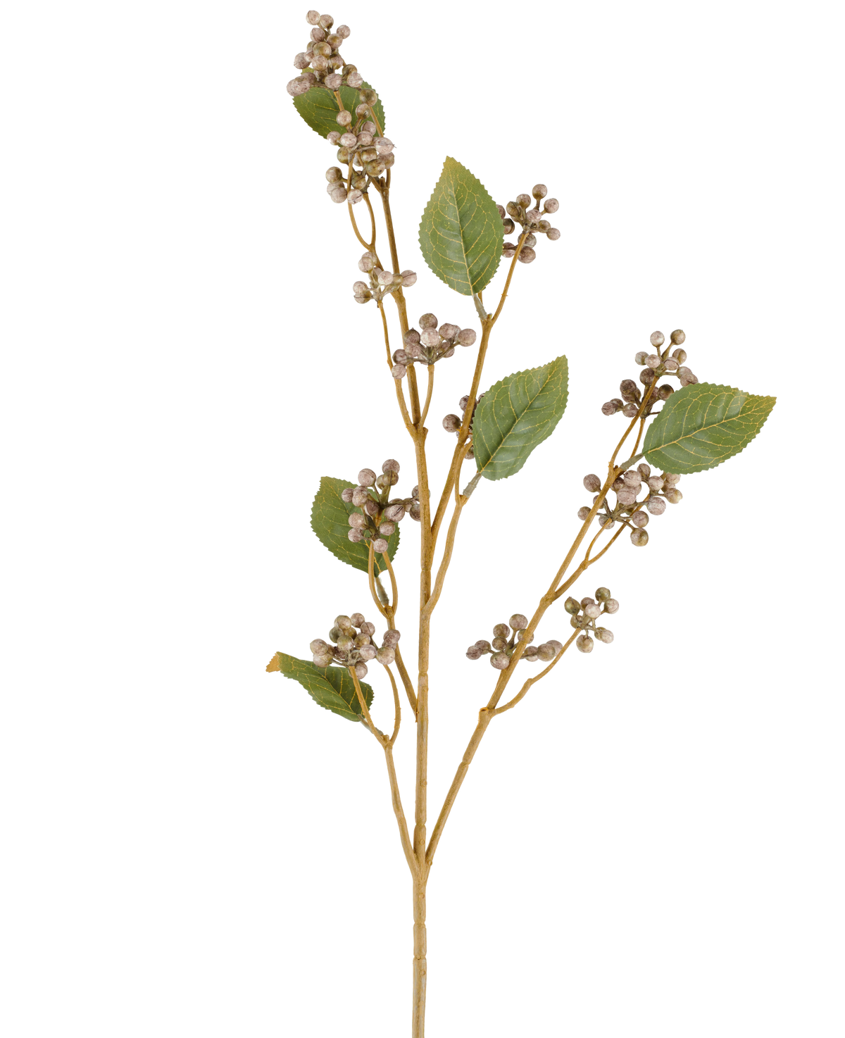 Un unico stelo del fiore artificiale Dewberry, alto 78 cm, con diverse foglie verdi e mazzi di piccole bacche rotonde beige su sottili steli marroni nei toni del grigio e del viola, su uno sfondo bianco.
