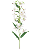 Un lungo stelo verde con diversi gigli artificiali crema e marroni, ciascuno con foglie verdi allungate, presentato su uno sfondo bianco — Fiore artificiale di giglio 82 cm crema/marrone.