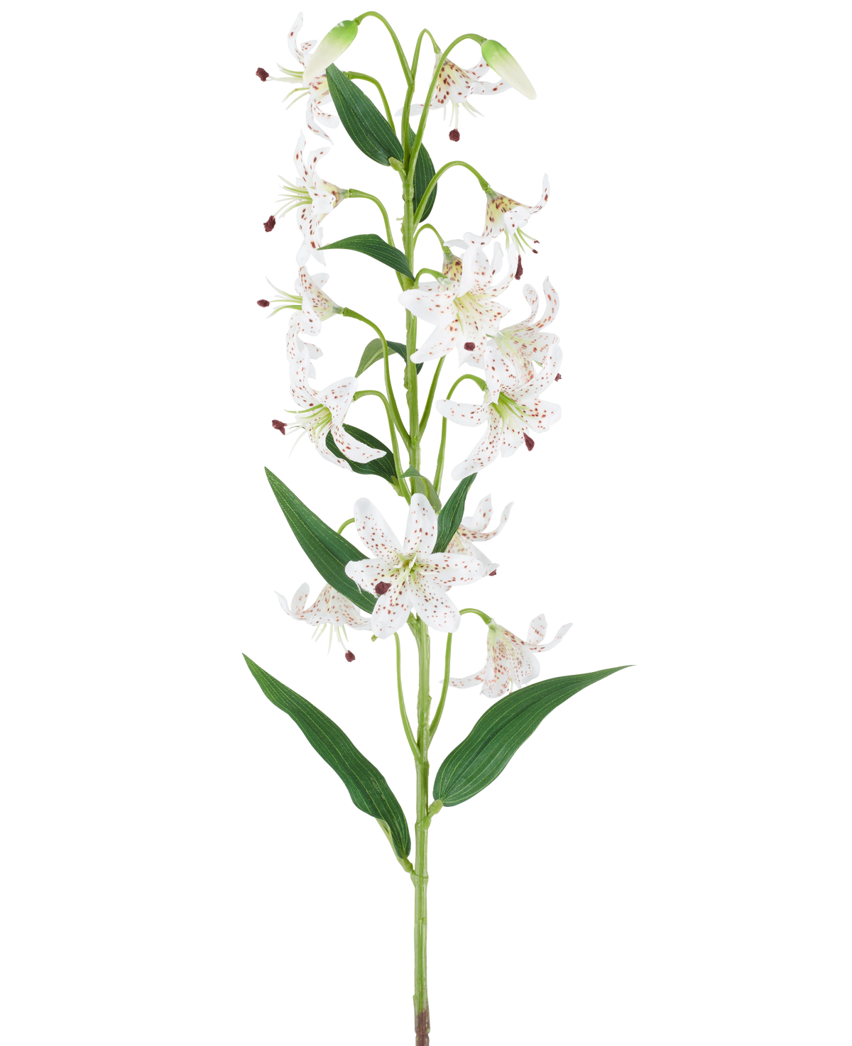 Un lungo stelo verde con diversi gigli artificiali crema e marroni, ciascuno con foglie verdi allungate, presentato su uno sfondo bianco — Fiore artificiale di giglio 82 cm crema/marrone.
